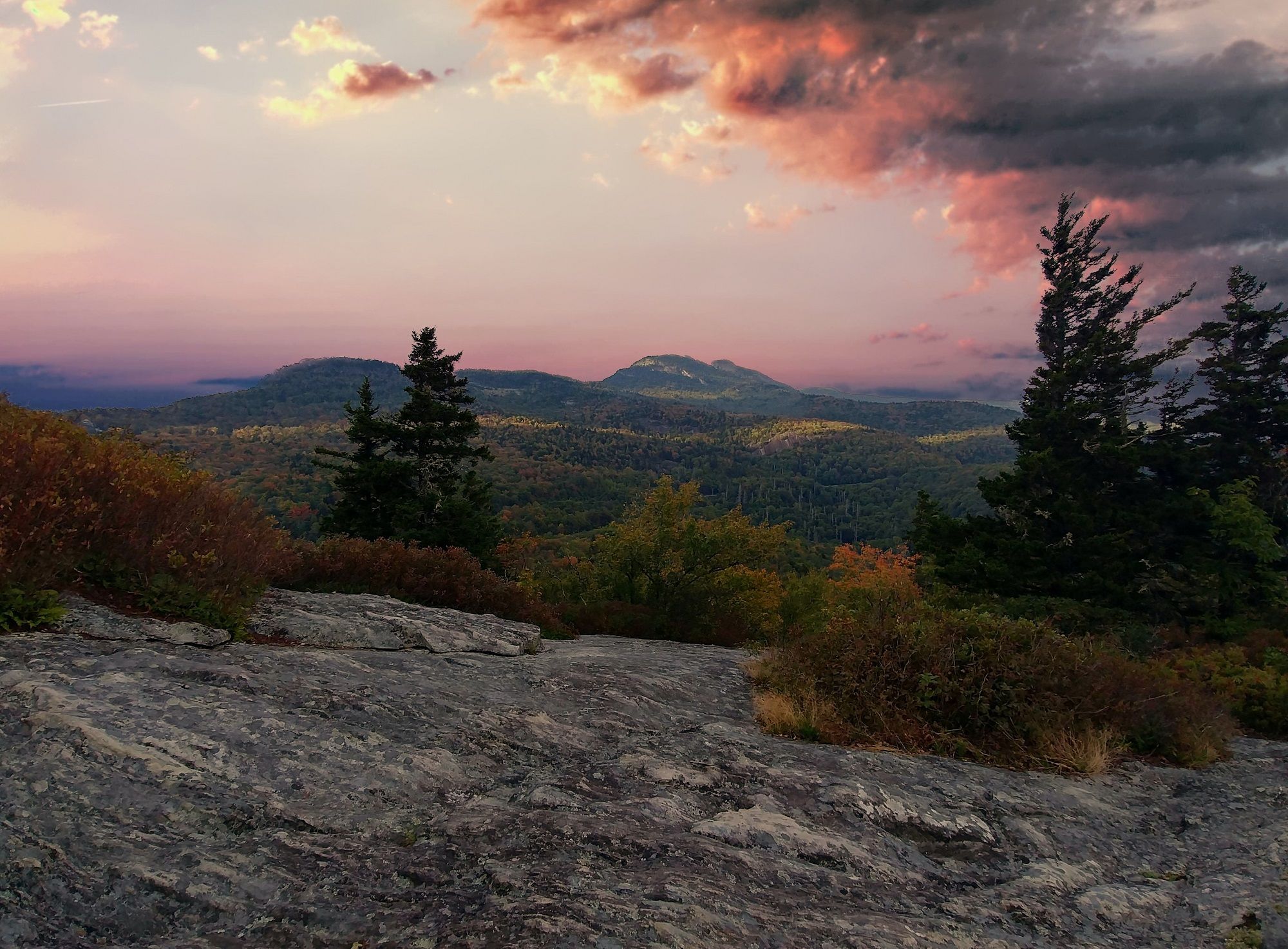 Top 10 Eco-friendly Stores In North Carolina