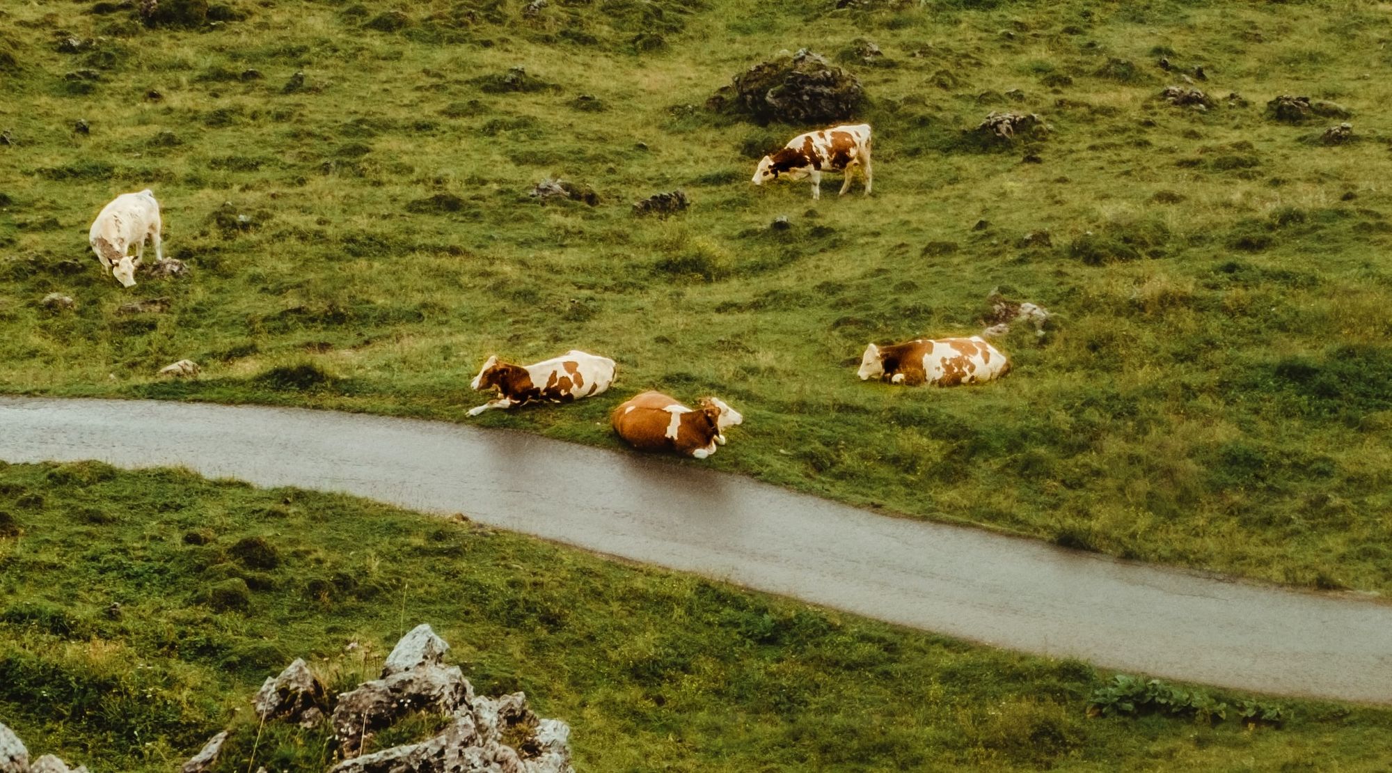 The Toxic Link Between Food and Climate Change: What Foods Should You ... Biology Diagrams