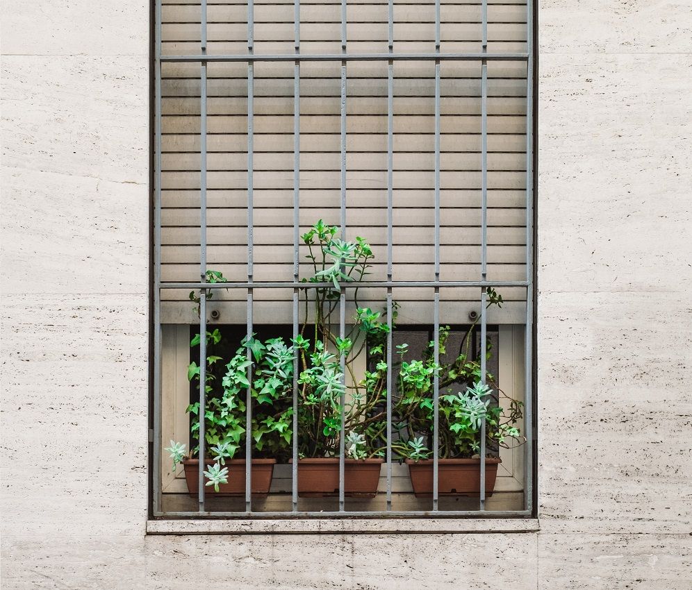 What Is Urban Homesteading and How Do You Start?