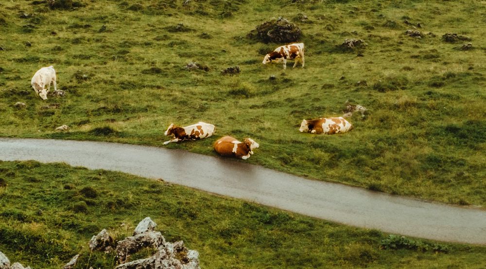 The Toxic Link Between Food and Climate Change: What Foods Should You Avoid?