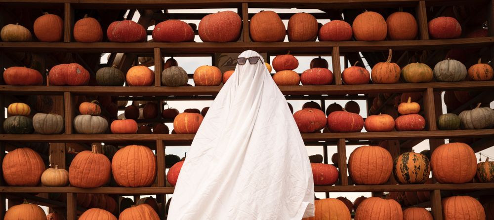 Sustainable Halloween Activities to Do in 2020