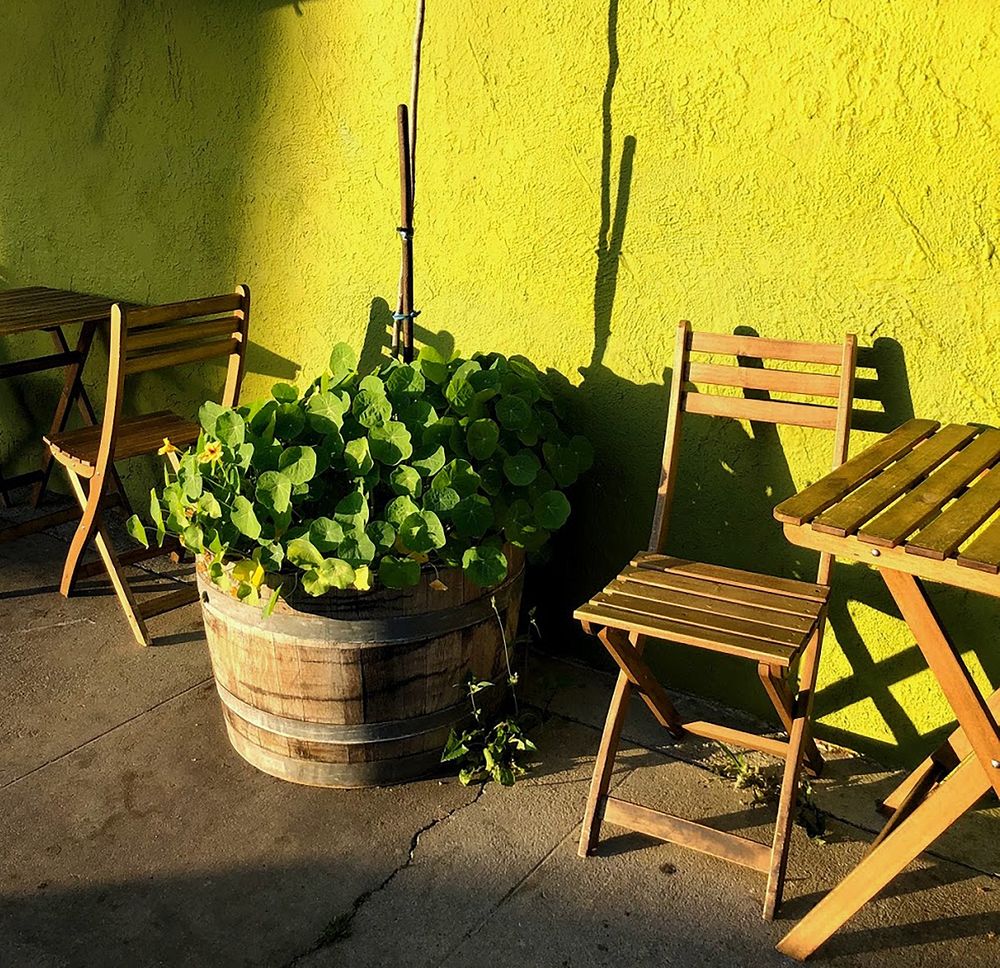 6 Best Local Vegan Cafés in California