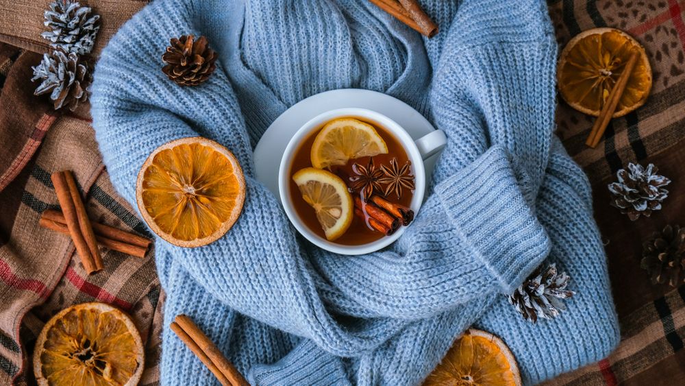 5 Best Christmas Cocktails and Mocktails