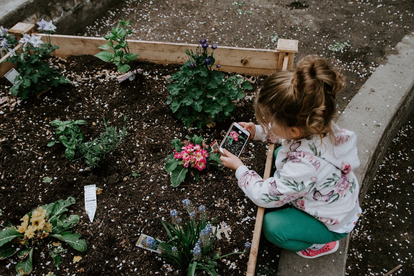 How To Cultivate Your Mental Health With Horticultural Therapy How To Cultivate Your Mental Health With Horticultural Therapy