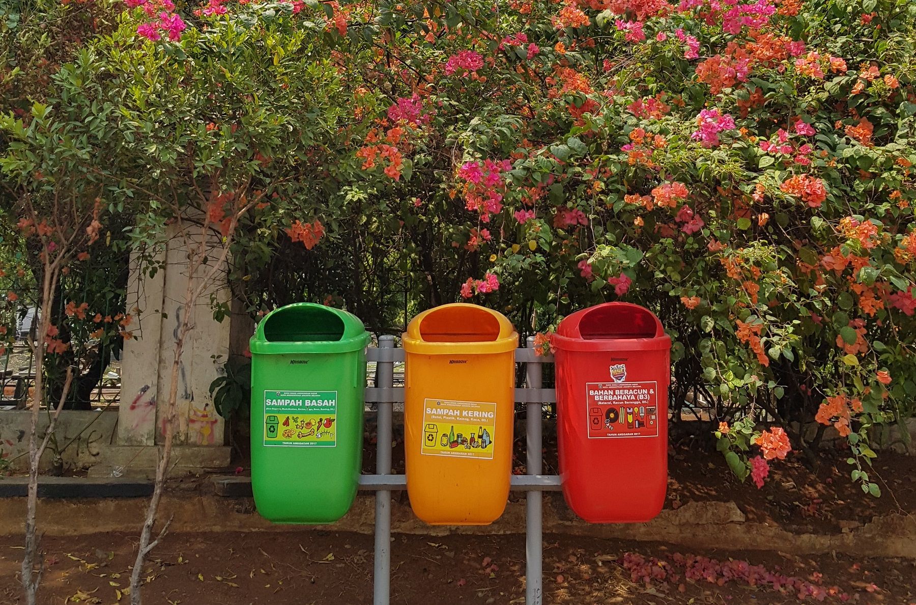 How to Reduce, Reuse, Recycle in 2020