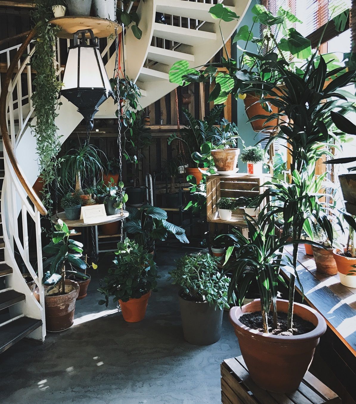 How to Cultivate Your Mental Health with Horticultural Therapy