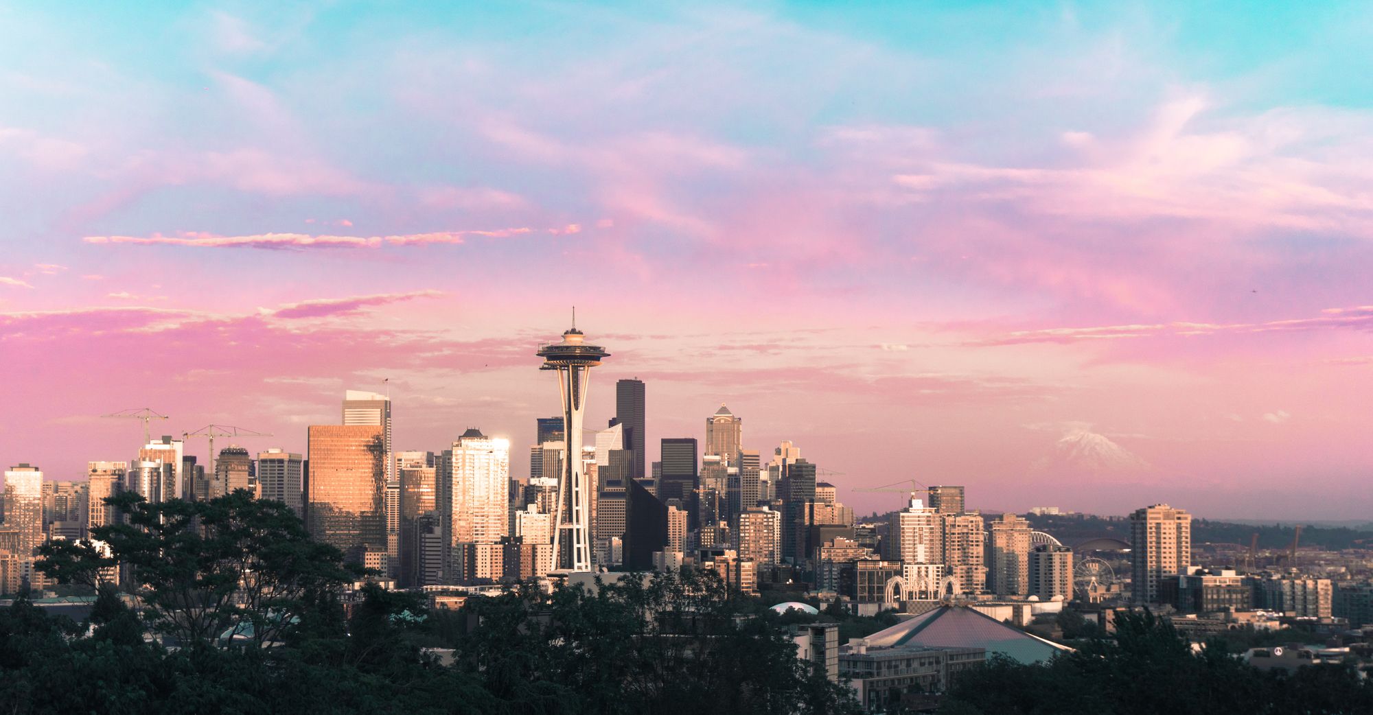 8 Local Coffee Shops in Seattle, Washington