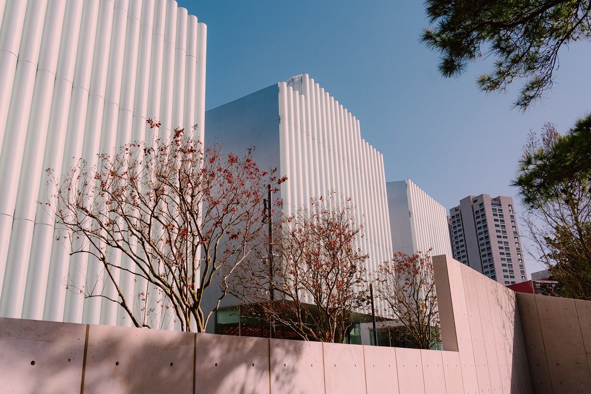 6 Best Local Vegan Cafés in Texas
