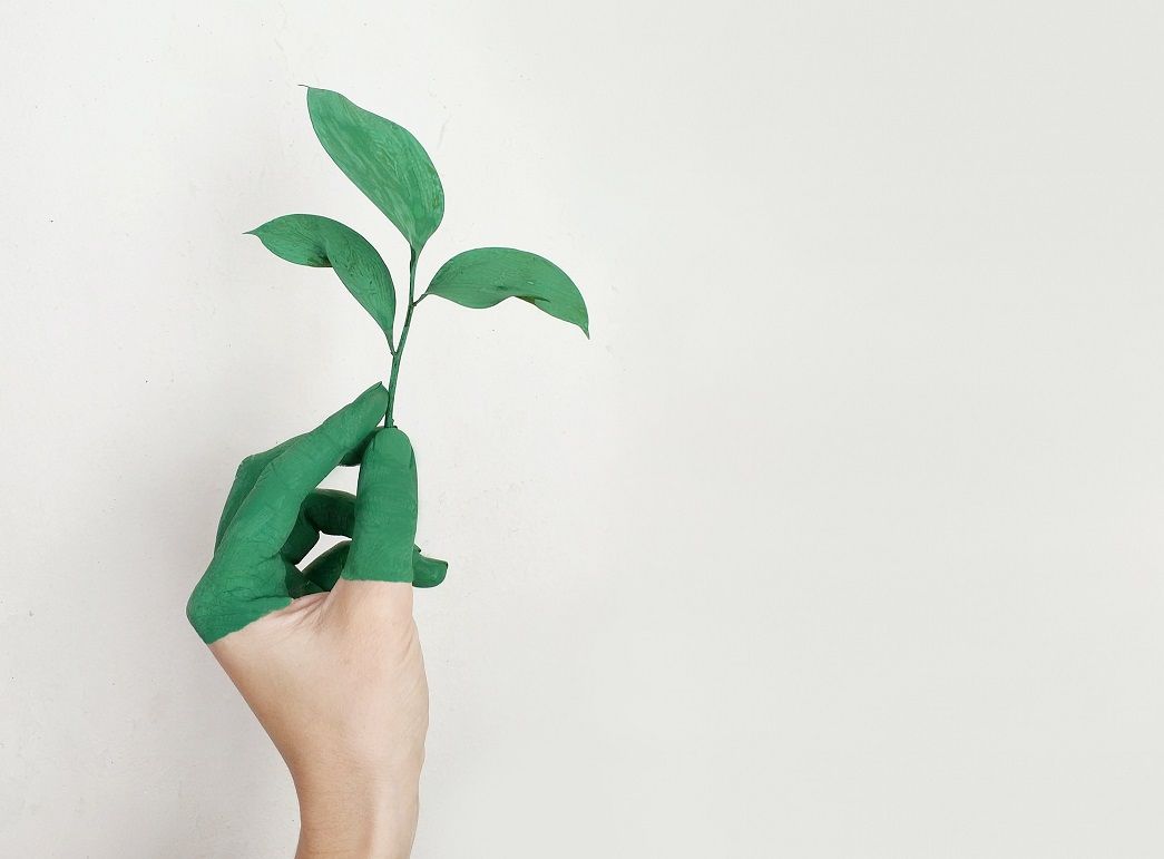 A Quick Guide to Eco-Friendly Certifications