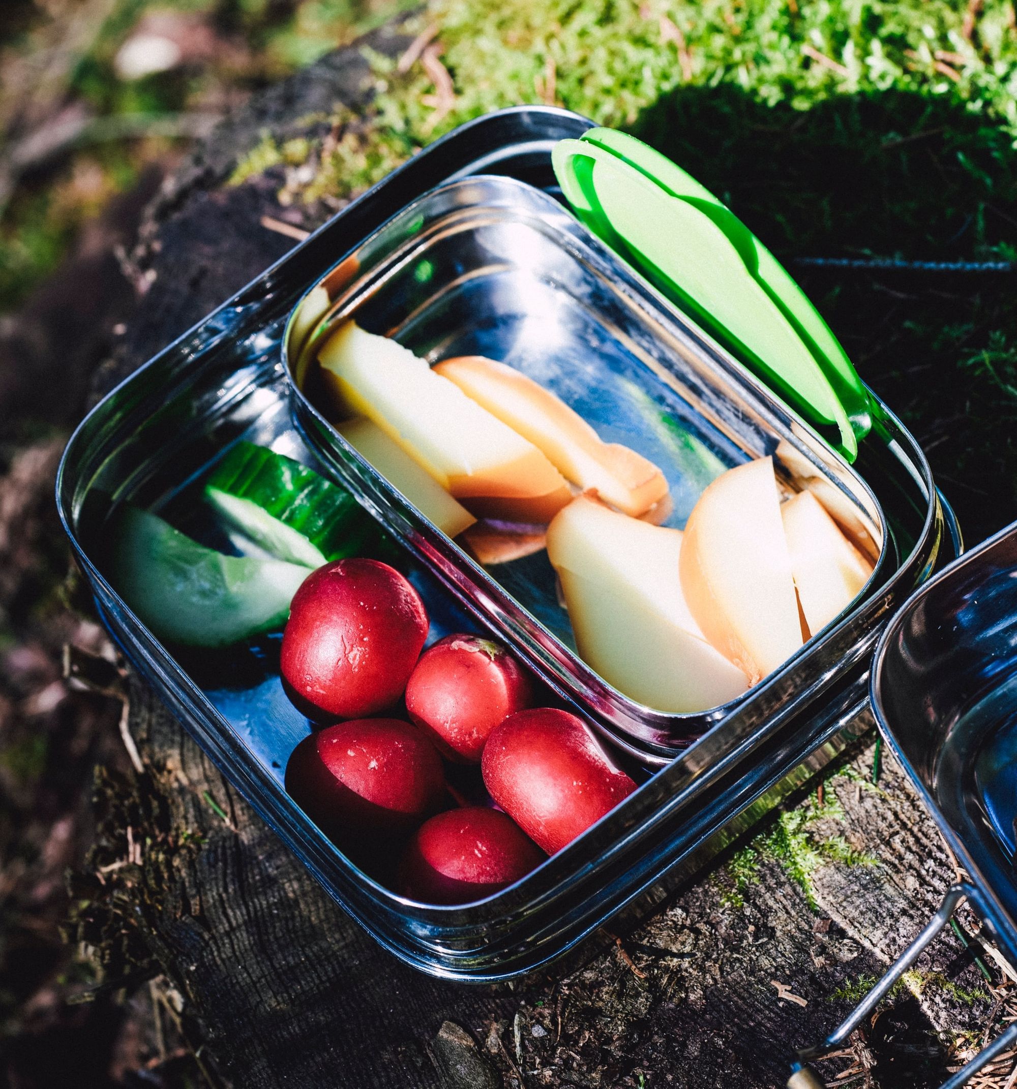 7 Easy Sustainable Swaps You Can Start Doing Right Now