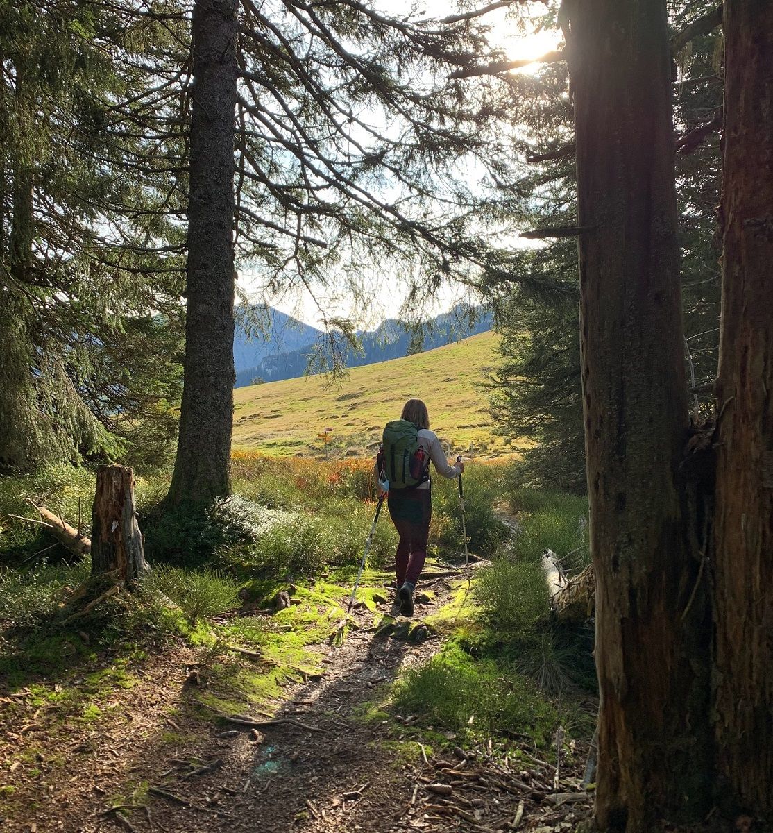 10 Eco-Friendly Outdoor Activities to Enjoy This August